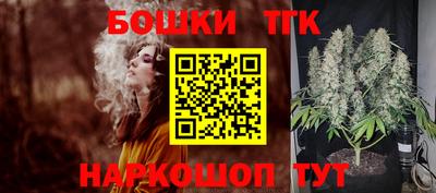 гашик Кандалакша