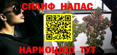 гашик Кандалакша