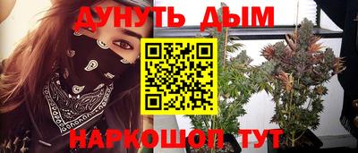 гашик Кандалакша